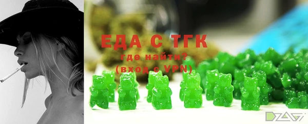 хмурый Абаза