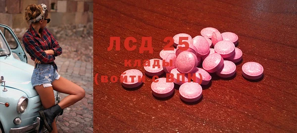 хмурый Абаза