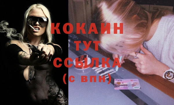 хмурый Абаза